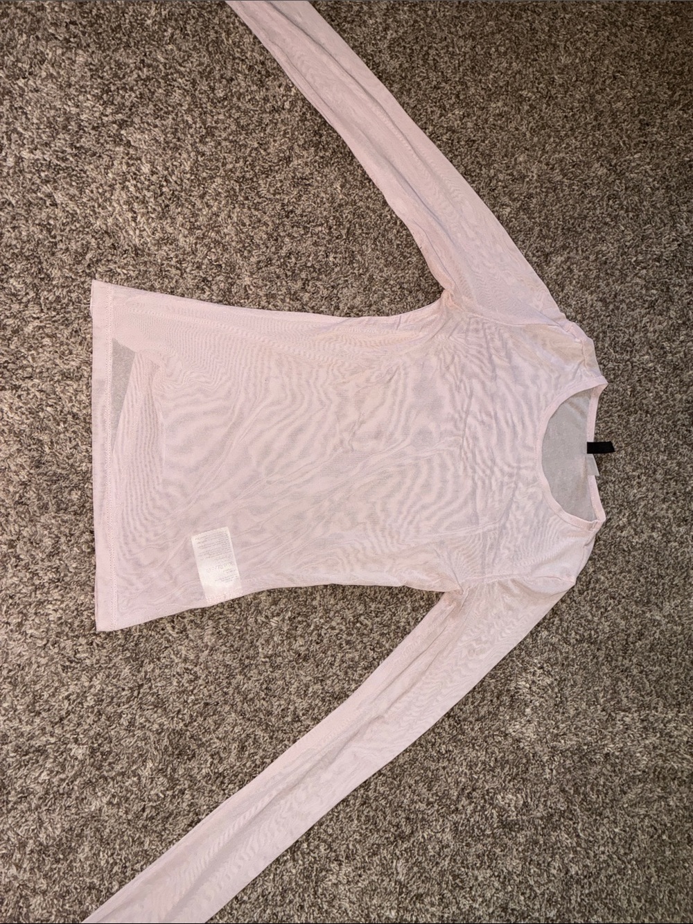 Light Pink Sheer Long Sleeve Crewneck Top